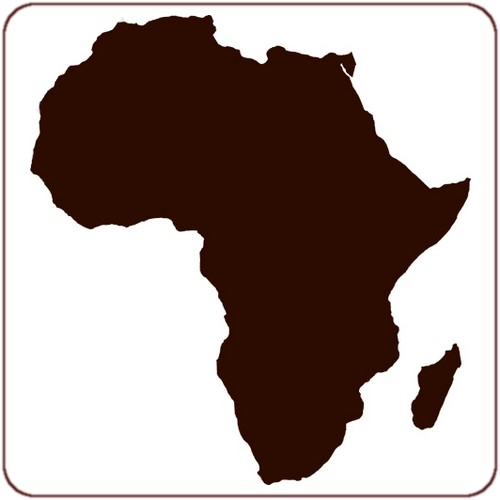 L'Afrique Innovante